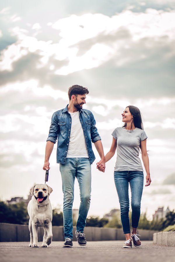 Dog training in Dundalk County