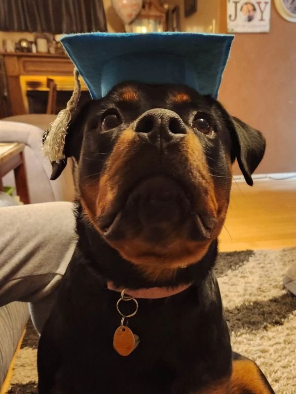 Puppy and Dog Training Graduates